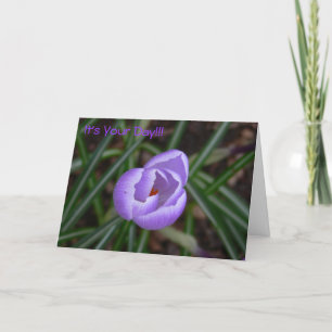 Happy Birthday-crocus flower Card