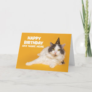 Happy Birthday Custom Name Cute Cat in Party Hat Holiday Card