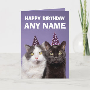 Happy Birthday Custom Name Funny Cats in Hats Holiday Card
