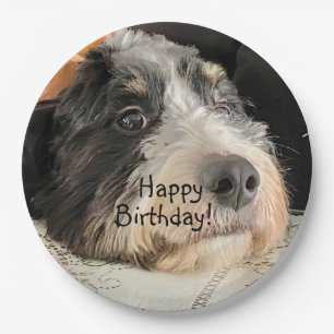 Happy Birthday Cute Bernedoodle Paper Plate