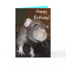 Happy Birthday! cute blue rat card