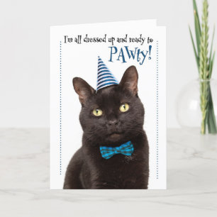 Happy Birthday Cute Cat in Party Hat Humour Holiday Card