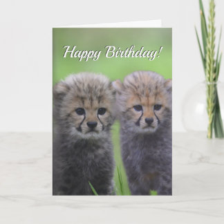 Happy Birthday Cute Cheetah Sibling Cubs Card