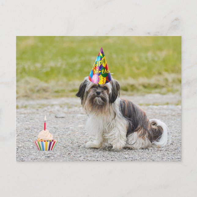 Happy Birthday Cute Dog with Cupcake Postcard (Front)
