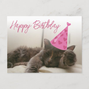 happy birthday cute funny cat with hat sleeping postcard