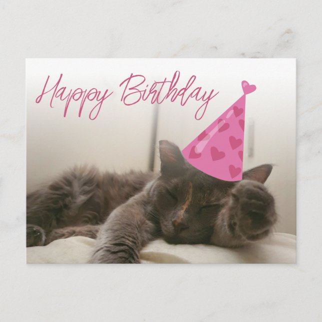 happy birthday cute funny cat with hat sleeping postcard (Front)