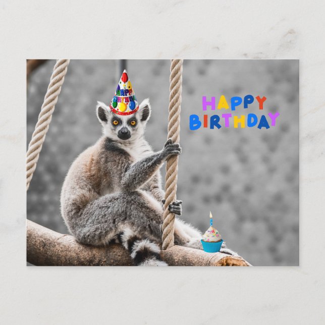 Happy Birthday Cute Funny Lemur on a Branch Postcard (Front)