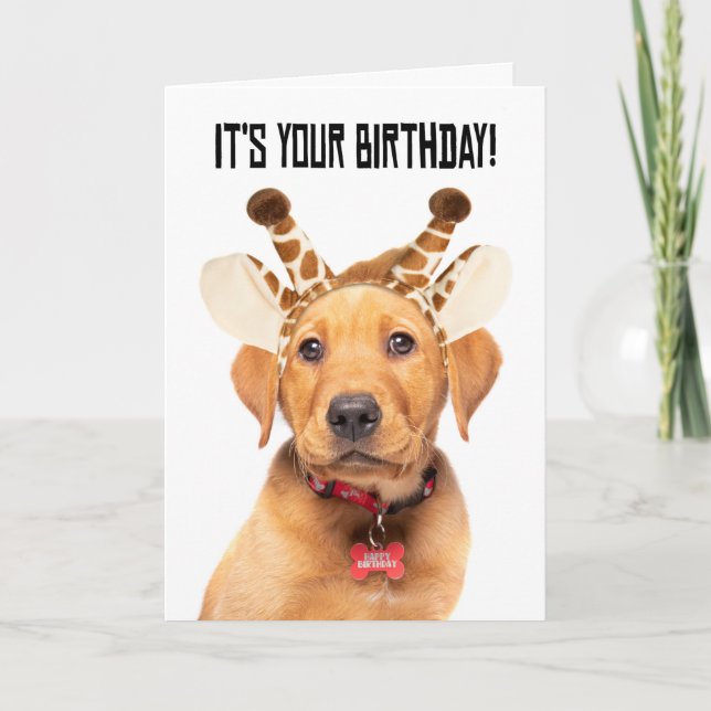 Happy Birthday Cute Lab Puppy In Giraffe Ears Holiday Card (Front)