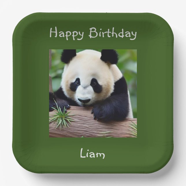 Happy Birthday Cute Panda Paper Plate (Front)