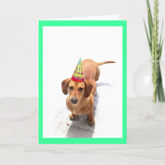 Happy Birthday Dachshund Greeting Card