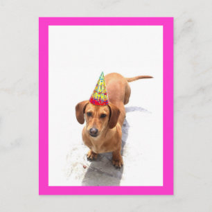 Happy Birthday Dachshund Postcard