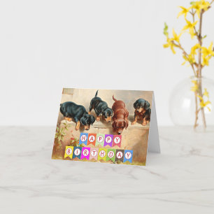 Happy Birthday, Dachshund puppies, Card