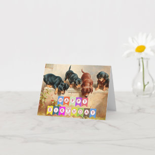 Happy Birthday, Dachshund puppies, Card