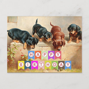 Happy Birthday, Dachshund puppies, Postcard