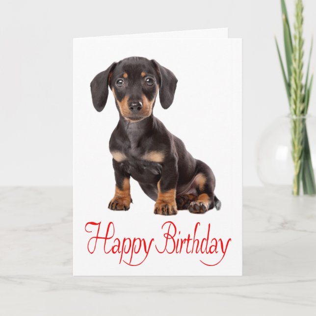 Happy Birthday Dachshund Puppy Dog Card (Front)