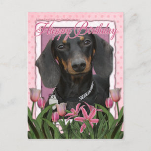 Happy Birthday - Dachshund - Winston Postcard