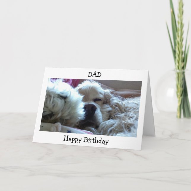 HAPPY BIRTHDAY DAD-TAKE NAP/DO WHATEVER U WISH CARD (Front)