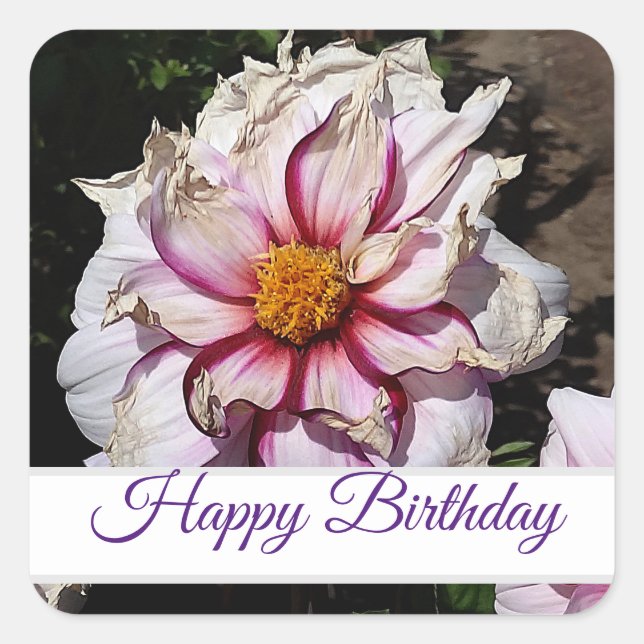 Happy Birthday Dahlia Edge of Joy #1 Stickers (Front)