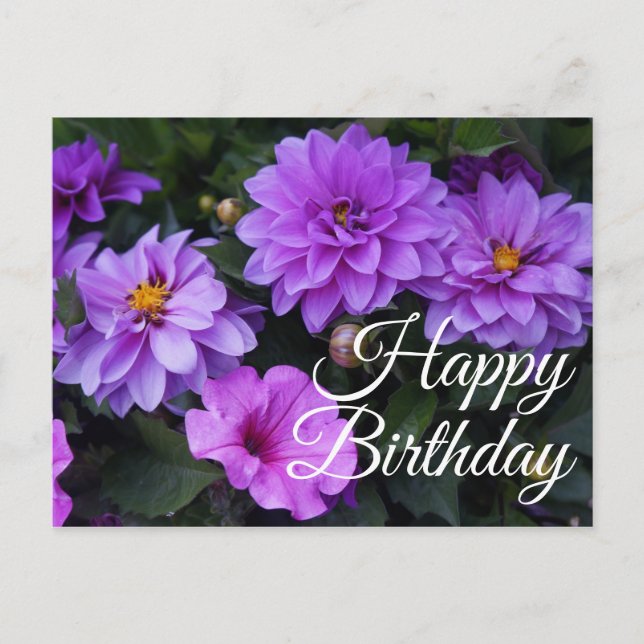 Happy Birthday Dahlia Lilac and Petunia Postcard (Front)