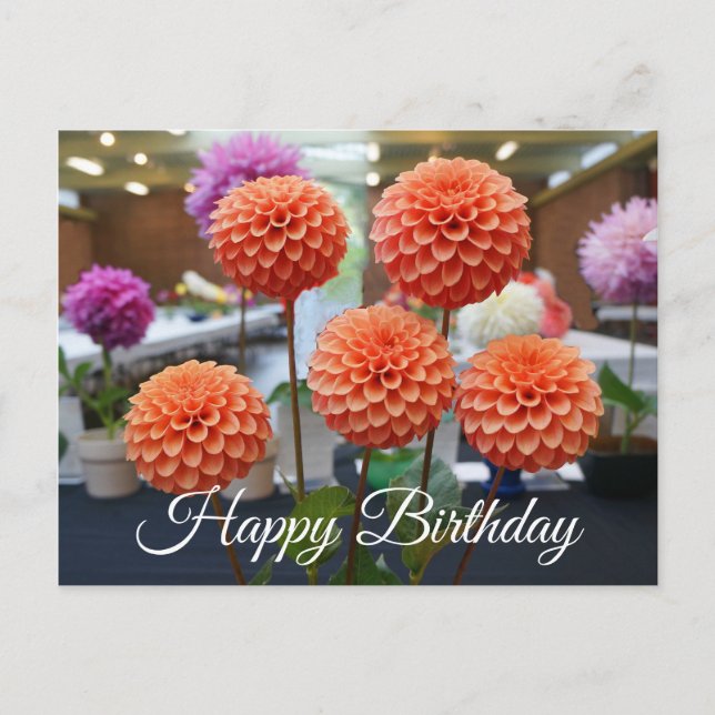 Happy Birthday Dahlia Rose Toscano #1 Postcard (Front)