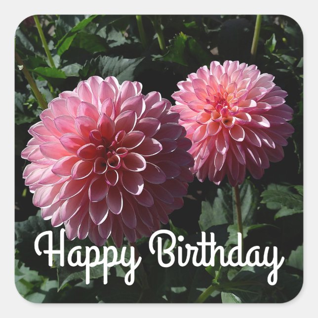 Happy Birthday Dahlia Valley Porcupine #1 Stickers (Front)