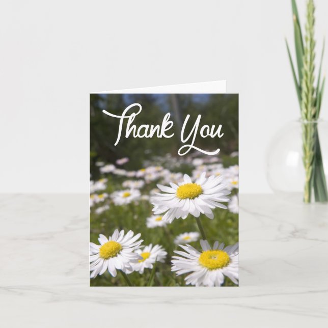 Happy Birthday Daisies Flower Garden Greeting Card (Front)