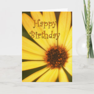 Happy Birthday Daisy Card