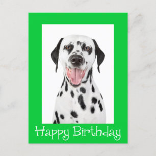 Happy Birthday Dalmatian Puppy Dog Post Card
