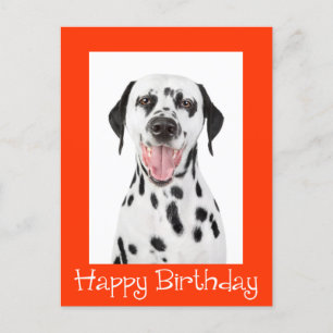 Happy Birthday Dalmatian Puppy Dog Post Card