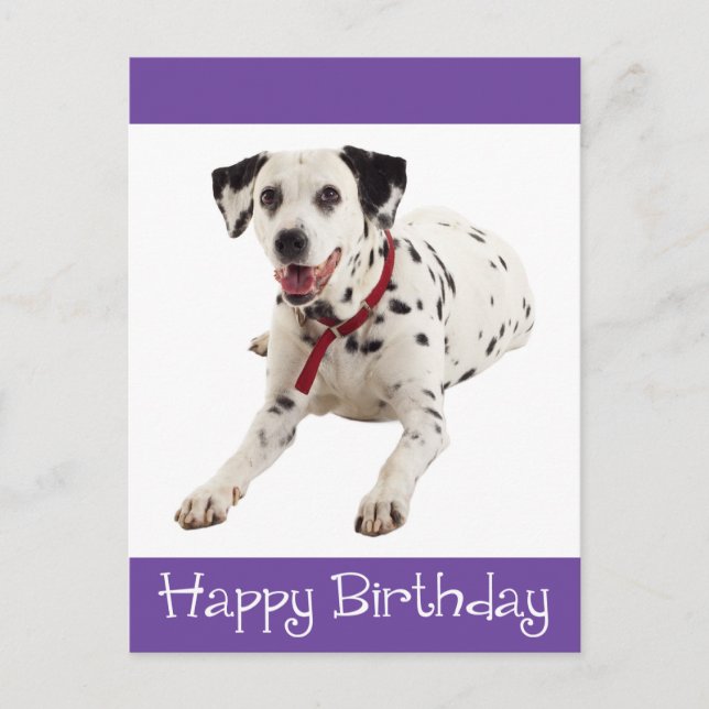 Happy Birthday Dalmatian Puppy Dog Post Card (Front)
