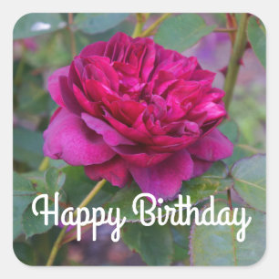 Happy Birthday Darcey Bussell Rose #1 Stickers