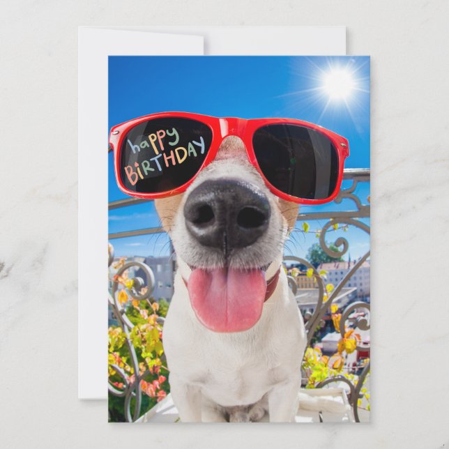 Happy Birthday Dawg Dog in Sunglasses Holiday Card (Front)