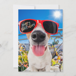 Happy Birthday Dawg Dog in Sunglasses Holiday Card