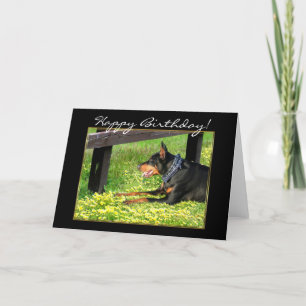 Happy Birthday Doberman Pinscher greeting card