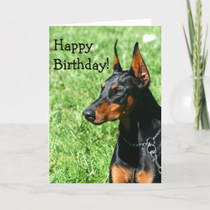 Happy Birthday Doberman Pinscher greeting card