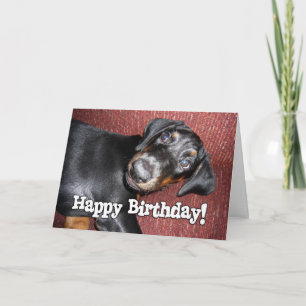 Happy Birthday - Doberman Pinscher Puppy Card