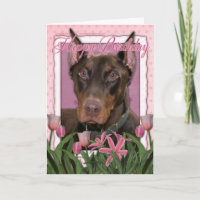 Happy Birthday - Doberman - Rocky