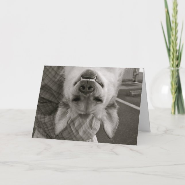 Happy Birthday dog card (Front)