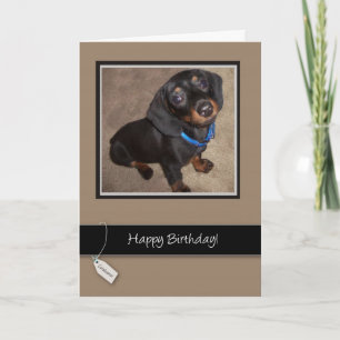 Happy Birthday, Dog, Dachshund Card