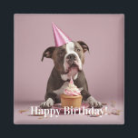 Happy Birthday! Dog eating cake  Magnet<br><div class="desc">A dog with a pink party hat on celebrating his or her birthday.
With the text: Happy Birthday!</div>