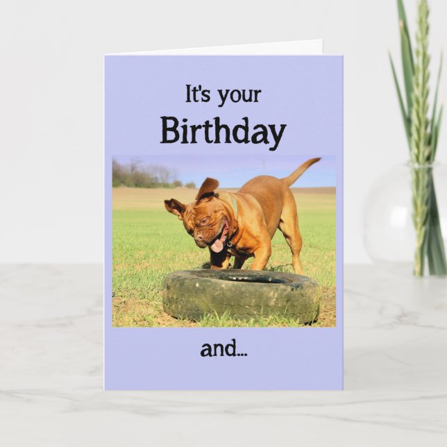 Happy Birthday Dog Having Fun time Card (Front)