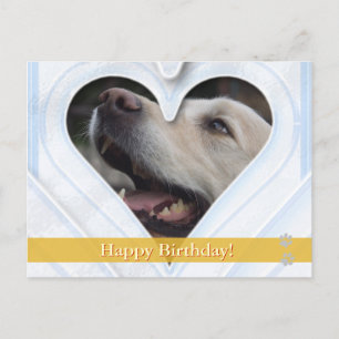 Happy Birthday! -  dog postcard