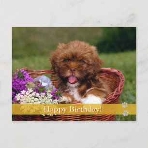 Happy Birthday! -  dog postcard