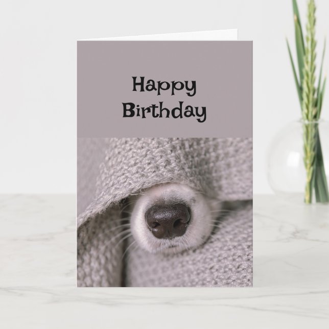 Happy Birthday Dog under blanket in Bed Card (Front)