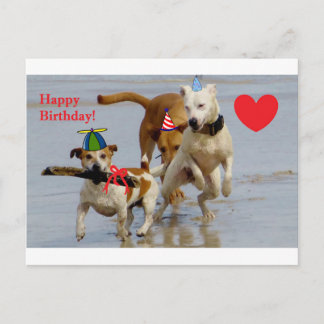 happy birthday dogs postcard