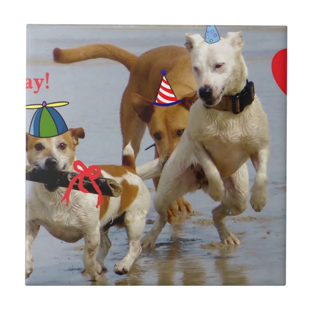 happy birthday dogs tile (Front)