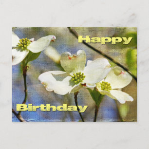 Happy Birthday - Dogwood Blossoms Postcard