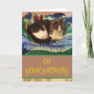 Happy Birthday Domestic Grey and White Kitty Cat Card
