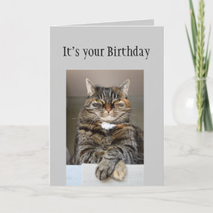 Happy Birthday Don't look You Age Fun Cat Card