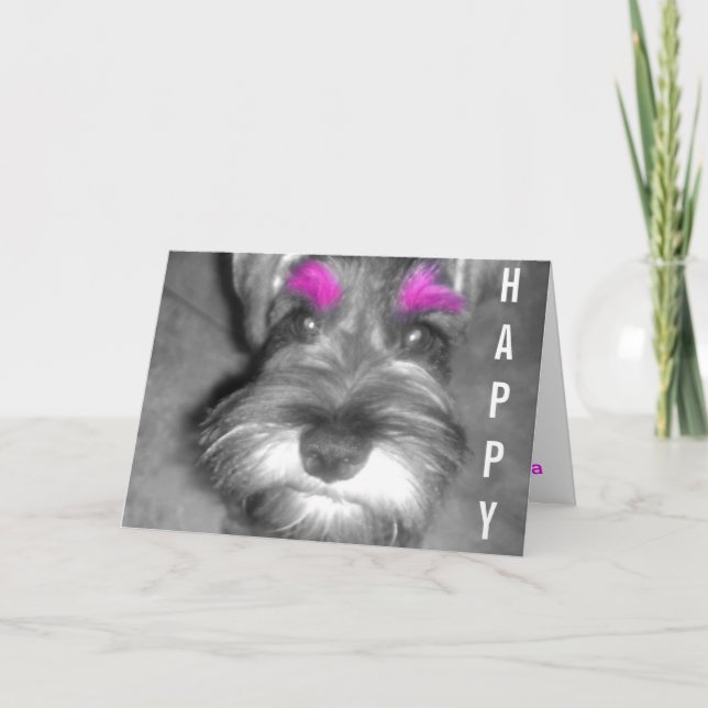 Happy Birthday Dude Miniature Schnauzer Puppy Card (Front)